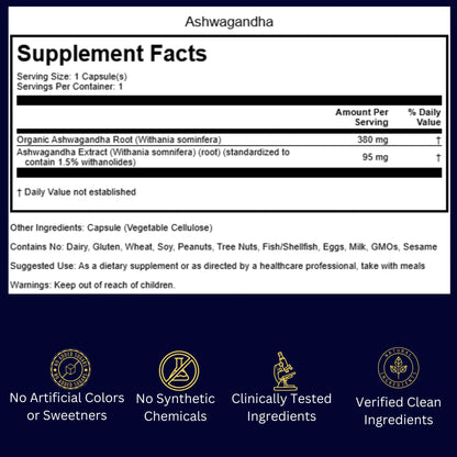 Burned-Out Achiever Protocol