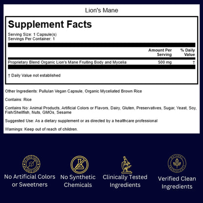 Burned-Out Achiever Protocol