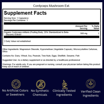 Brain Fog Fighter Protocol