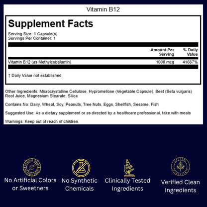 Burned-Out Achiever Protocol