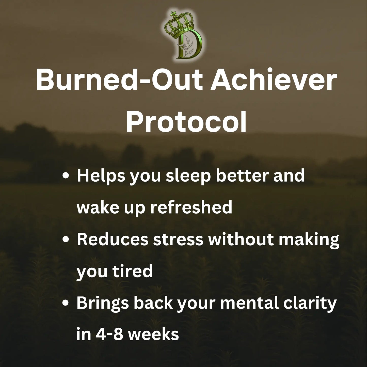 burned-out achiever protocol