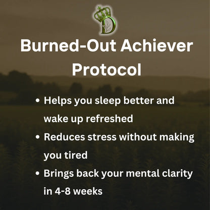 Burned-Out Achiever Protocol