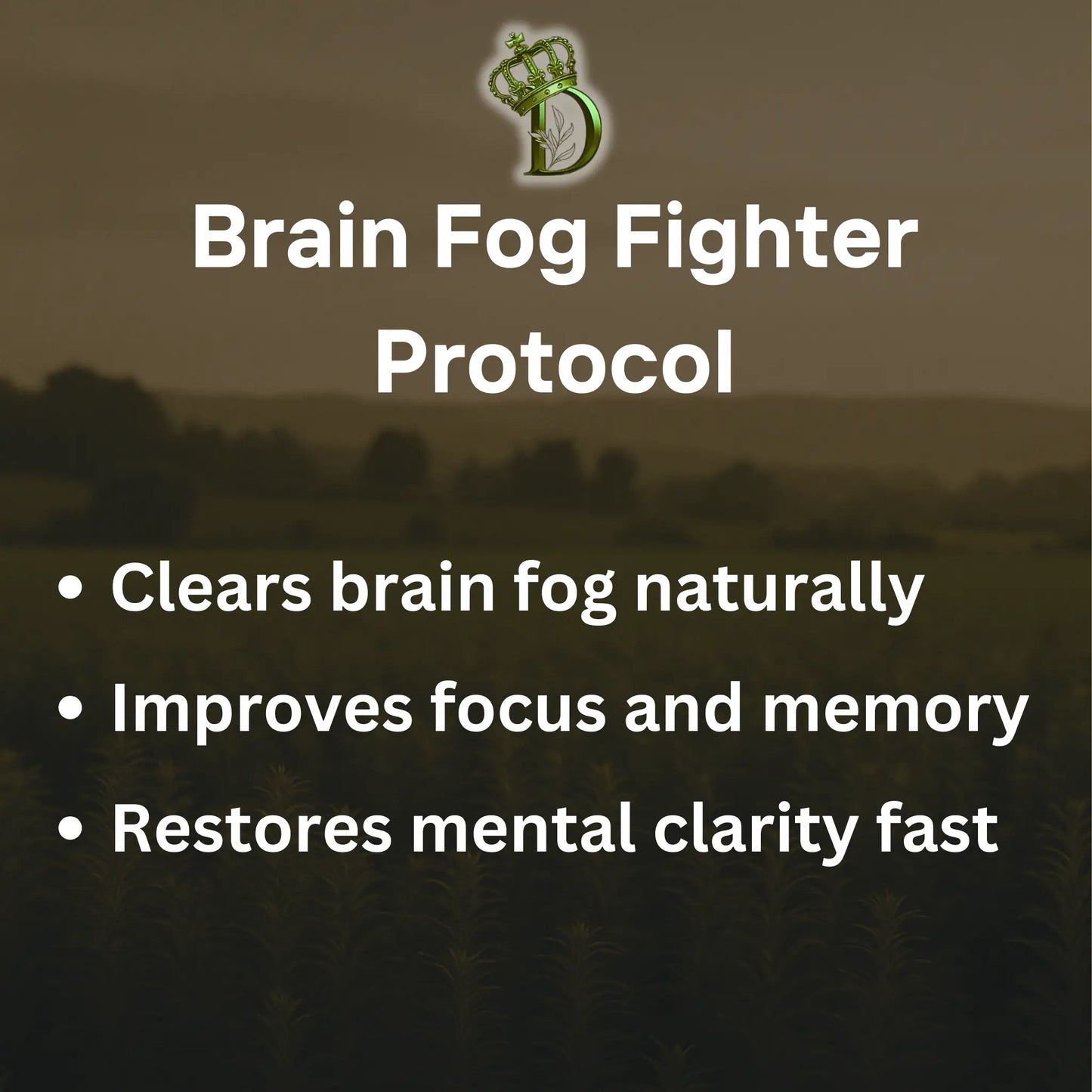 brain fog fighter protocol
