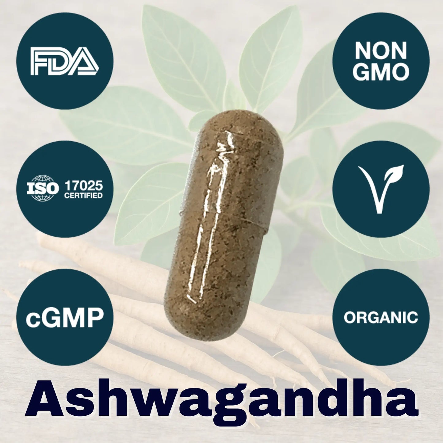 burned-out achiever protocol