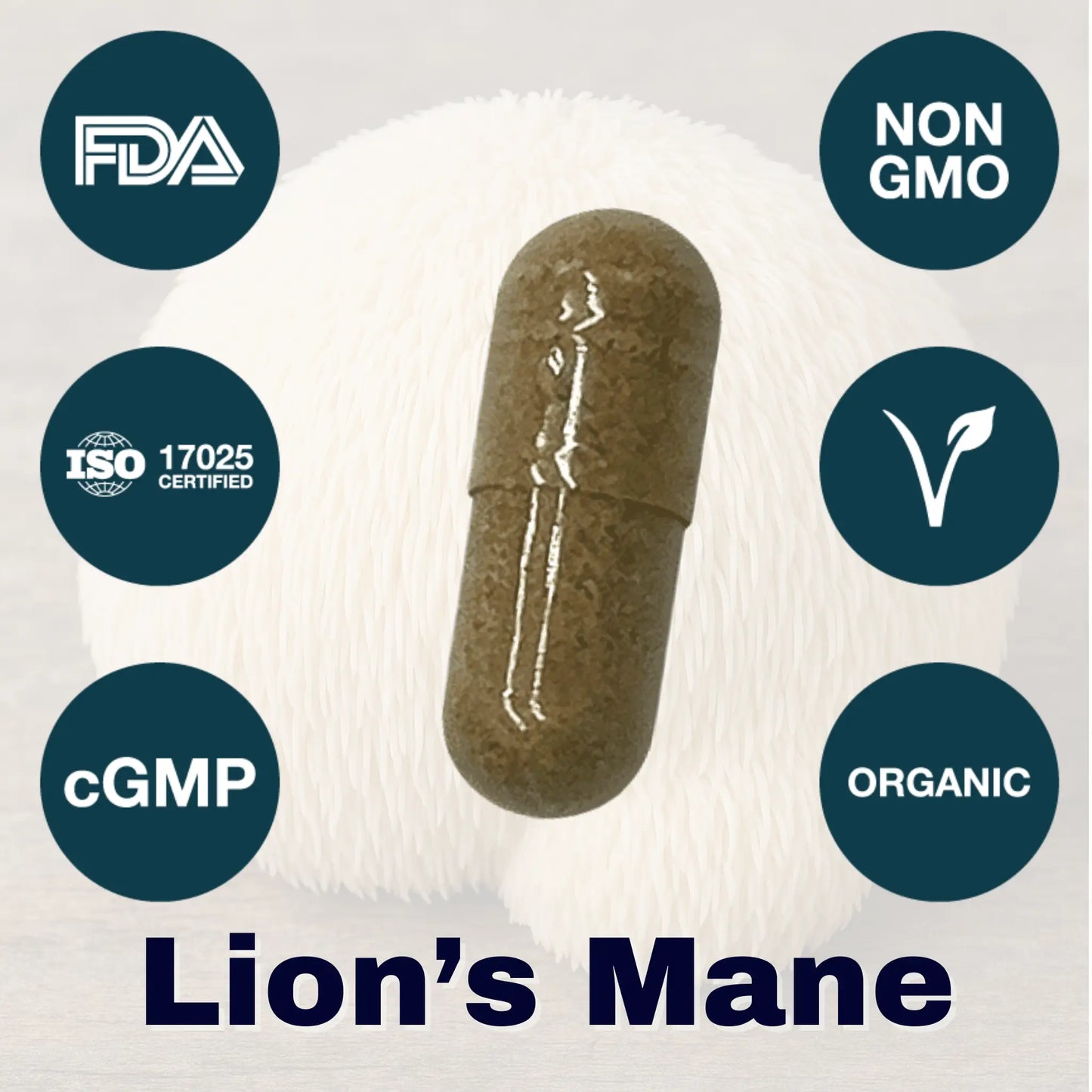 burned-out achiever protocol