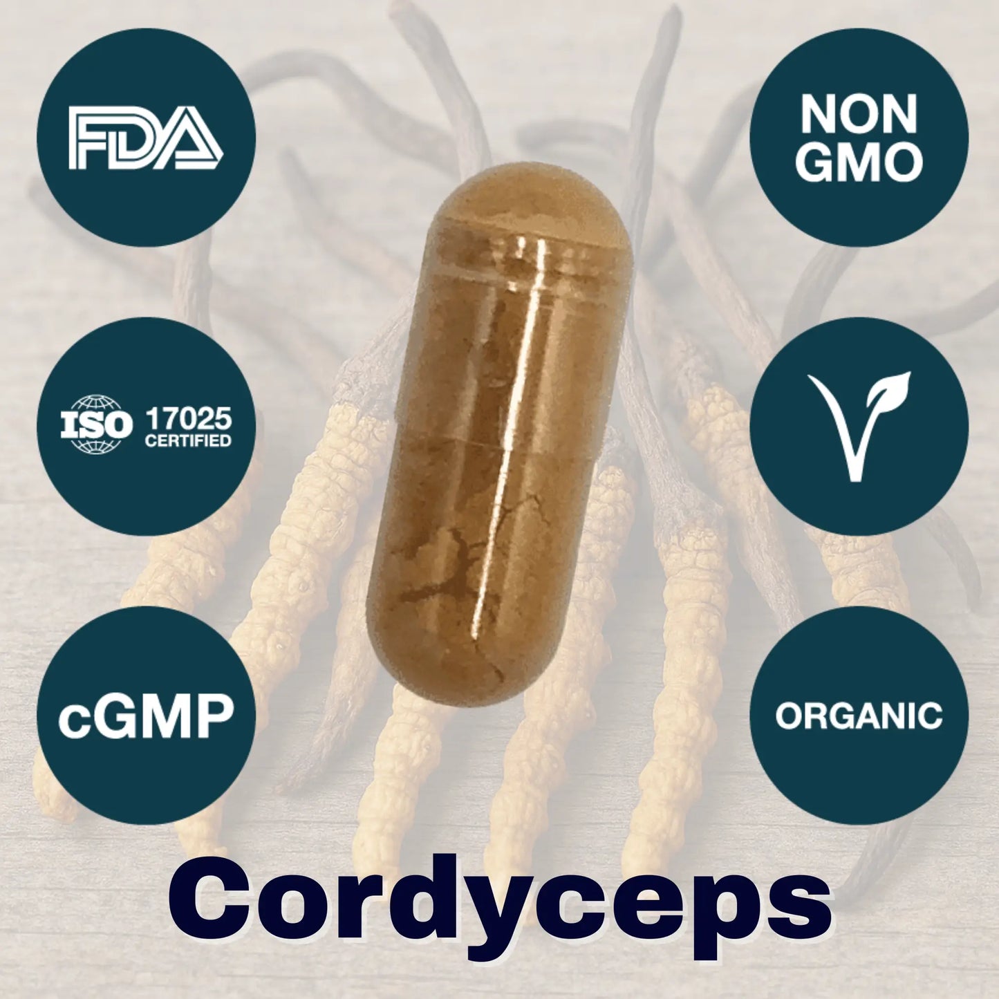 brain fog fighter protocol