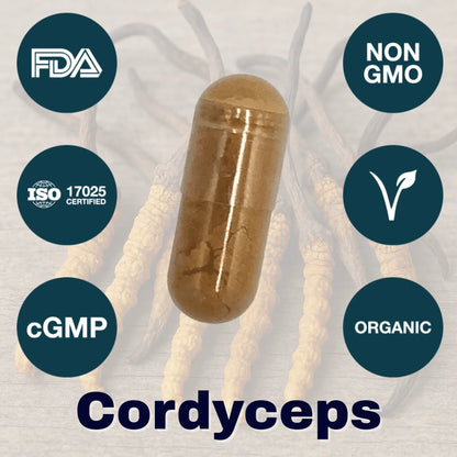 Brain Fog Fighter Protocol