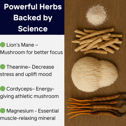 Brain Fog Fighter Protocol