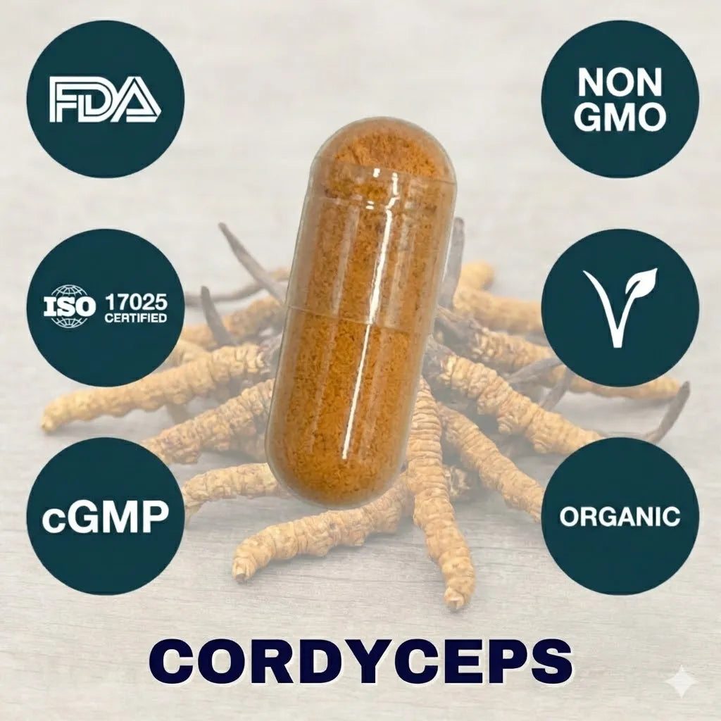 cordyceps mushroom supplement capsule for energy and stamina