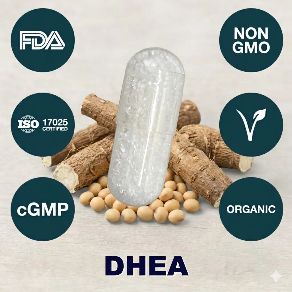 DHEA supplement capsule for hormone support
