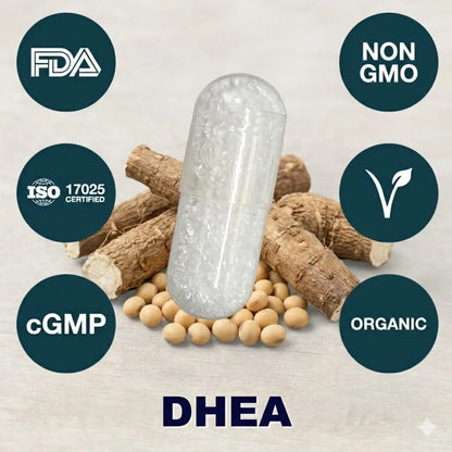 DHEA supplement capsule for hormone support