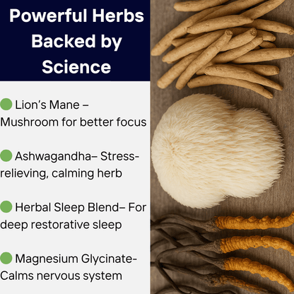 Burned-Out Achiever Protocol