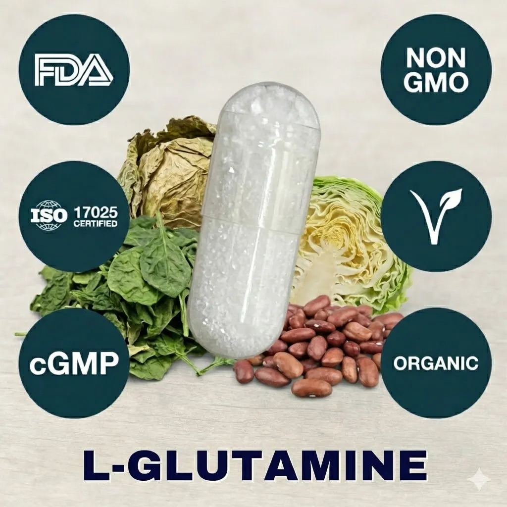 l-glutamine supplement capsule for intestinal health