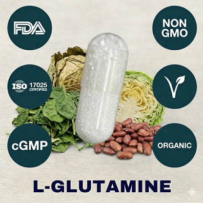L-Glutamine supplement capsule for intestinal health