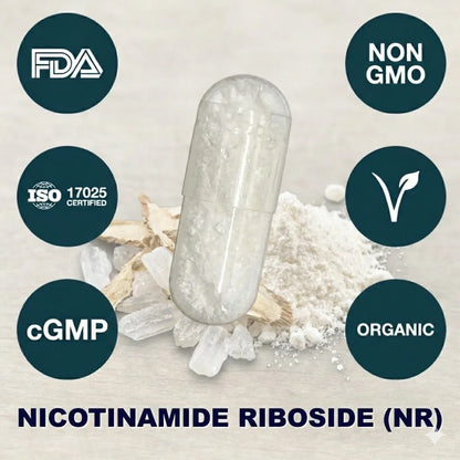 NR Nicotinamide Riboside supplement capsule for NAD+ support