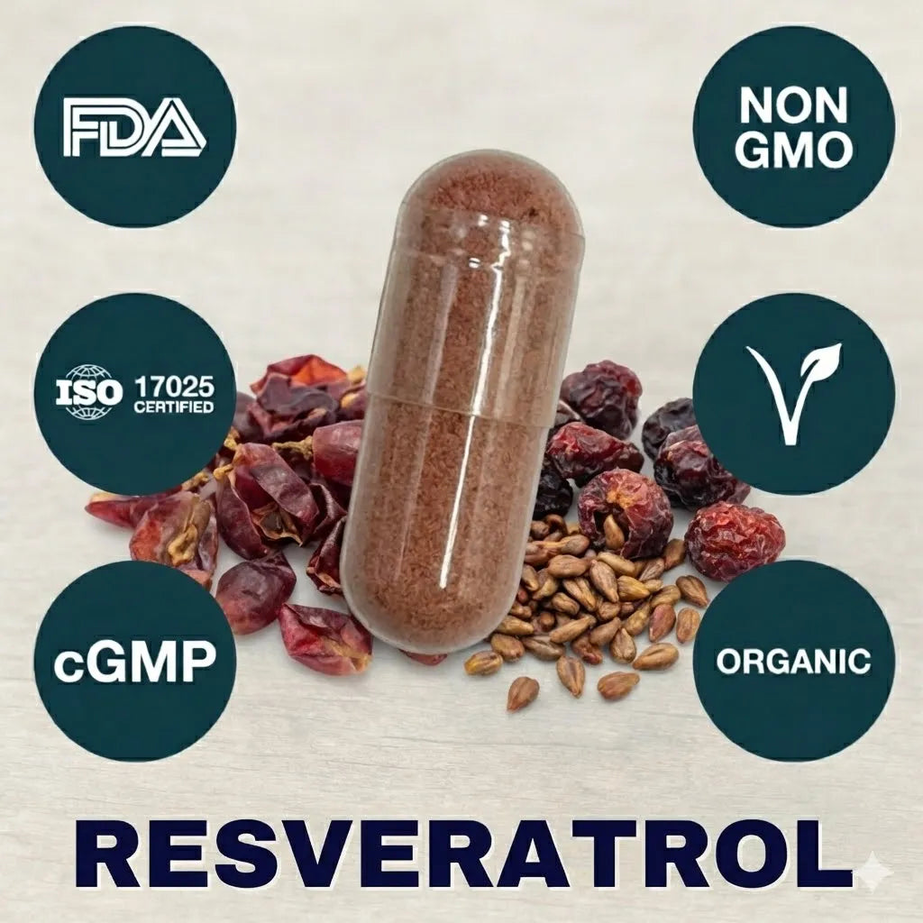 Resveratrol supplement capsule for cellular function