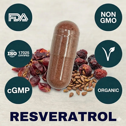 Resveratrol supplement capsule for cellular function