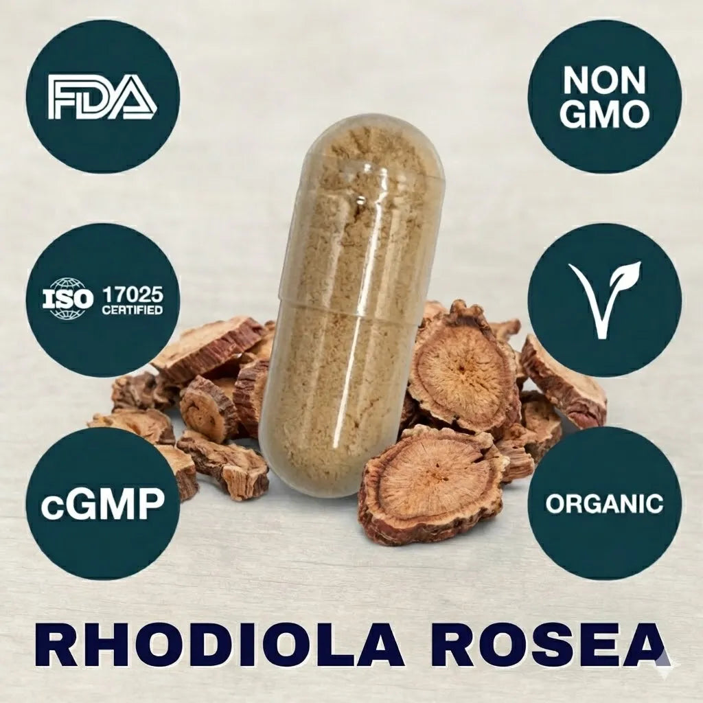 rhodiola rosea supplement capsule for stress adaptation