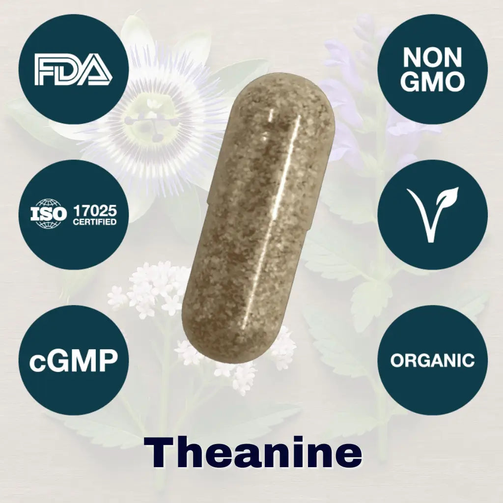 brain fog fighter protocol